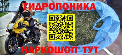 тгк Дубна