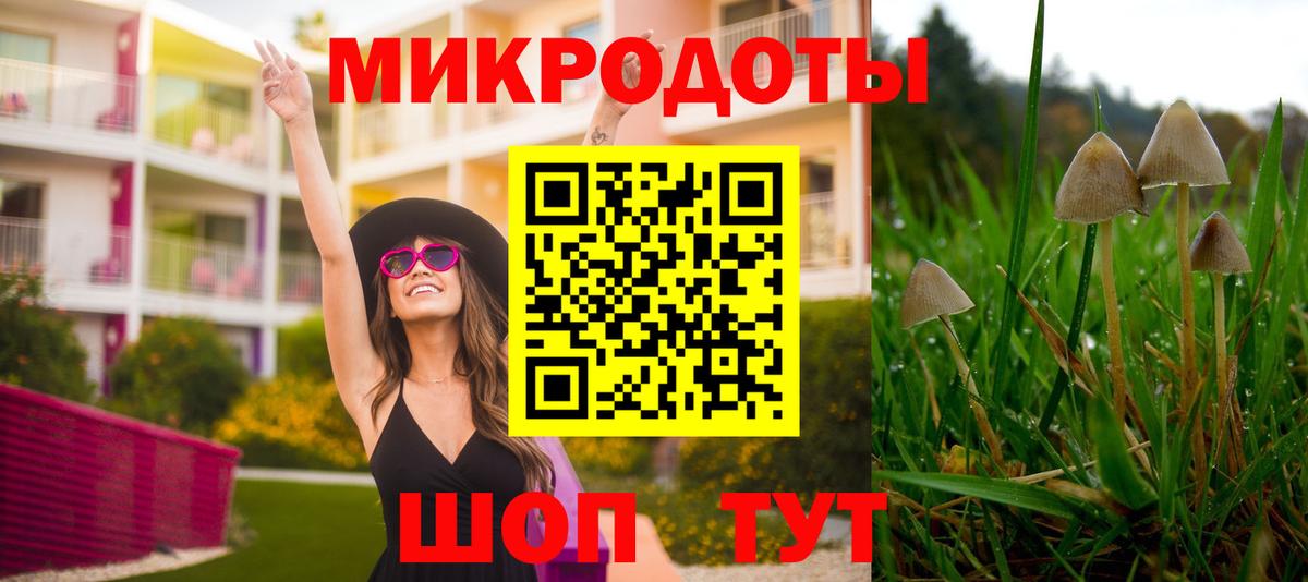 Саки  Псилоцибиновые грибы ЛСД  Вход с VPN  Псилоцибиновые грибы Psilocybe 